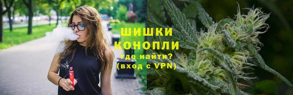 крисы Бронницы