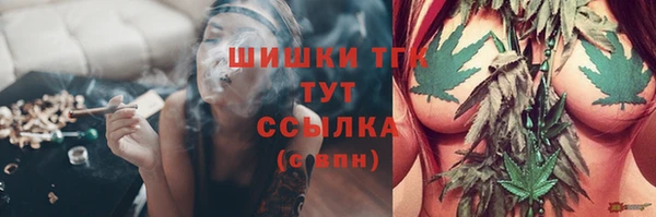 крисы Бронницы