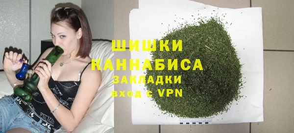 крисы Бронницы