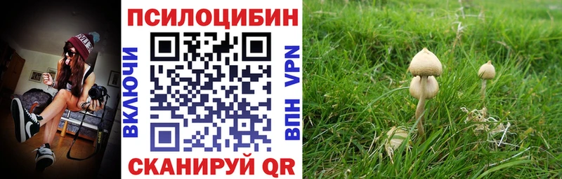 OMG онион  Юрьев-Польский  Галлюциногенные грибы мицелий 