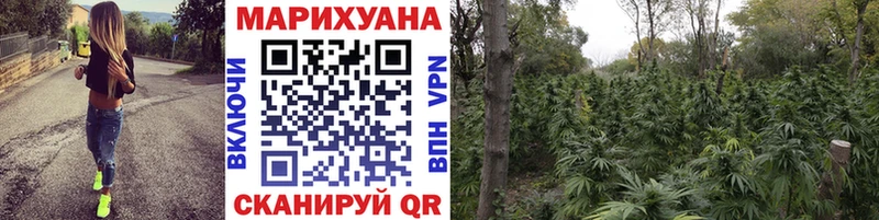 где можно купить   Юрьев-Польский  Марихуана конопля 